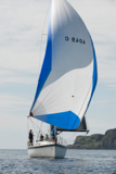 sea reiver 4049c whyw16 mon 800 2256w